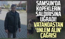 Samsun'da köpeklerin saldırısına uğradı! Vatandaştan 'önlem alın' çağrısı