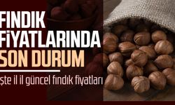 Fındık fiyatları ne kadar oldu? İşte 29 Mart Çarşamba il il fındık fiyatları