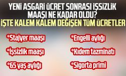 Yeni asgari ücret sonrası işsizlik maaşı ne kadar oldu? İşte kalem kalem değişen tüm ücretler