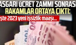 Asgari ücret zammı sonrası rakamlar ortaya çıktı: İşte 2023 yeni işsizlik maaşı…