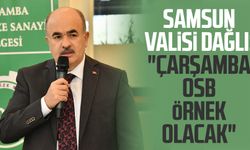 Samsun Valisi Zülkif Dağlı: "Çarşamba OSB örnek olacak"