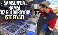 Samsun'da hamsi yüz güldürüyor! İşte fiyatı