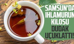 Samsun'da ıhlamurun kilosu dudak uçuklattı!