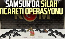 Samsun'da silah ticareti operasyonu