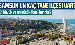 Samsun'un kaç tane ilçesi var?, En büyük ve en küçük ilçesi hangisi?