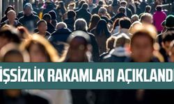 Kasım ayı işsizlik rakamları açıklandı