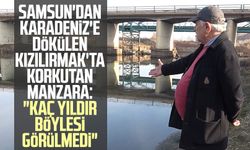 Samsun'dan Karadeniz'e dökülen Kızılırmak'ta korkutan manzara: "Kaç yıldır böylesi görülmedi"