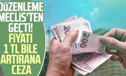 Düzenleme Meclis'ten geçti! Fiyatı 1 TL bile artırana ceza