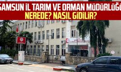 Samsun İl Tarım ve Orman Müdürlüğü nerede? Nasıl gidilir?