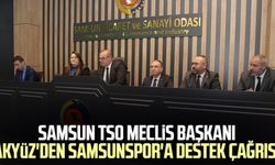 Samsun TSO Meclis Başkanı Haluk Akyüz'den Samsunspor'a destek çağrısı