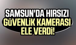 Samsun'da hırsızı güvenlik kamerası ele verdi!