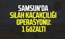 Samsun'da silah kaçakçılığı operasyonu: 1 gözaltı