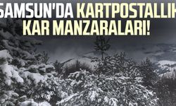 Samsun'da kartpostallık kar manzaraları!