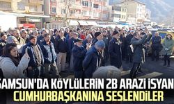 Samsun'da köylülerin 2B arazi isyanı! Cumhurbaşkanına seslendiler