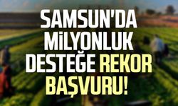 Samsun'da milyonluk desteğe rekor başvuru!