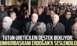 Samsun'da tütün üreticileri destek bekliyor: "25 mahallede problem var"