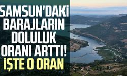 Samsun'daki barajların doluluk oranı arttı! İşte o oran