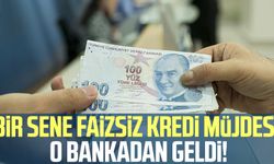 Bir sene faizsiz kredi müjdesi o bankadan geldi!