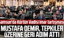 Samsun'da Kürtün Vadisi imar tartışması: Mustafa Demir, tepkiler üzerine geri adım attı