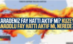 Karadeniz fay hattı aktif mi? Kuzey Anadolu Fay Hattı aktif mi, nerede?