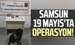 Samsun 19 Mayıs'ta operasyon! Uyuşturucu ve tabanca ele geçirildi