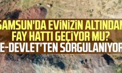 Samsun'da evimin altından fay hattı geçiyor mu? e-Devlet'ten sorgulanıyor