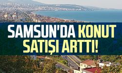 Samsun'da ocak ayında konut satışı arttı!