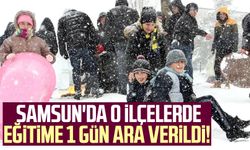Eğitime kar engeli: Samsun'da o ilçelerde eğitime 1 gün ara verildi!