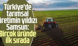 Türkiye'de tarımsal üretimin yıldızı Samsun: Birçok üründe ilk sırada