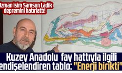 Uzman isim Samsun Ladik depremini hatırlattı! Kuzey Anadolu fay hattıyla ilgili endişelendiren tablo: "Enerji birikti"