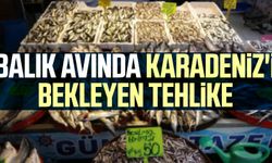 Balık avında Karadeniz'i bekleyen tehlike