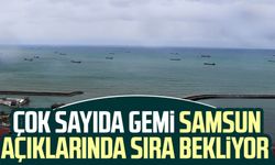 Çok sayıda gemi Samsun açıklarında sıra bekliyor