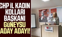 CHP İl Kadın Kolları Başkanı Nazan Güneysu aday adayı!