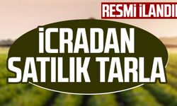 Samsun Çarşamba'da 5.100 m² tarla ve yapının (3/20 hissesi) icradan satılıktır