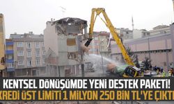 Kentsel dönüşümde yeni destek paketi! Kredi üst limiti 1 milyon 250 bin TL'ye çıktı