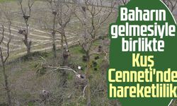 Baharın gelmesiyle birlikte Samsun Kuş Cenneti'nde hareketlilik