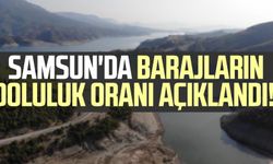 Samsun'da barajların doluluk oranı açıklandı!