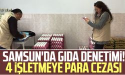 Samsun'da gıda denetimi! 4 işletmeye para cezası