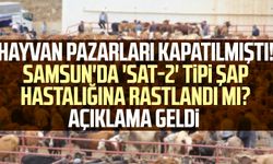 Hayvan pazarları kapatılmıştı! Samsun'da 'SAT-2' tipi şap hastalığına rastlandı mı? Açıklama geldi