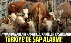 Türkiye'de şap alarmı! Hayvan pazarları kapatıldı, nakiller yasaklandı