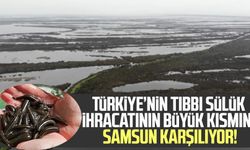 Türkiye’nin tıbbi sülük ihracatının büyük kısmını Samsun karşılıyor!