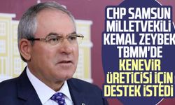 CHP Samsun Milletvekili Kemal Zeybek TBMM'de kenevir üreticisi için destek istedi