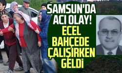 Samsun'da acı olay! Ecel bahçede çalışırken geldi