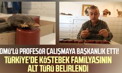 OMÜ'lü profesör çalışmaya başkanlık etti! Türkiye'de köstebek familyasının alt türü belirlendi