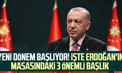 Yeni dönem başlıyor! İşte Erdoğan'ın masasındaki 3 önemli başlık