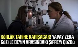 Körlük tarihe karışacak! Yapay zeka göz ile beyin arasındaki şifreyi çözdü