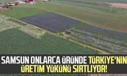 Samsun onlarca üründe Türkiye'nin üretim yükünü sırtlıyor!