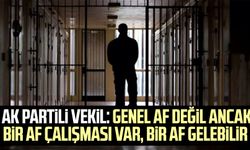 AK Partili Vekil: Genel af değil ancak bir af çalışması var, bir af gelebilir