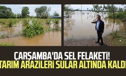 Çarşamba'da sel felaketi! Tarım arazileri sular altında kaldı