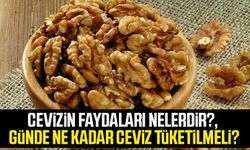 Cevizin faydaları nelerdir?, Günde ne kadar ceviz tüketilmeli?